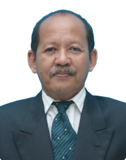 Prof. Dr. Ir. Heru Prastawa, DEA